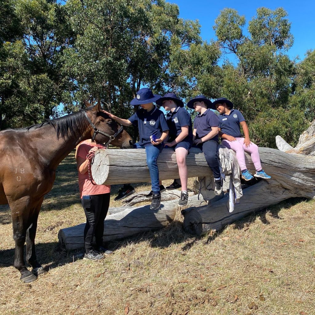 Kids sitting on log petting horse